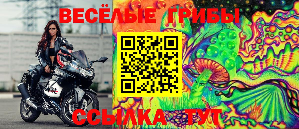 Галлюциногенные грибы Psilocybe Бутурлиновка