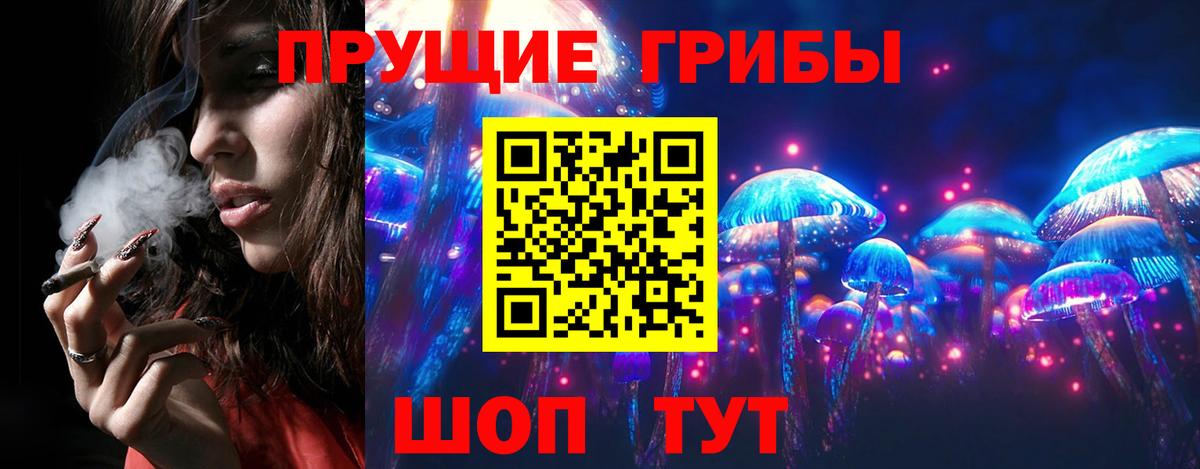 Галлюциногенные грибы Psilocybe  Вход с VPN  где купить   Бутурлиновка  Псилоцибиновые грибы MAGIC MUSHROOMS 